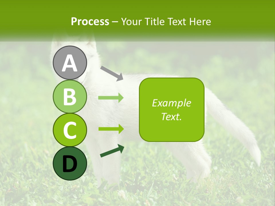 A White Dog Standing On Top Of A Lush Green Field PowerPoint Template
