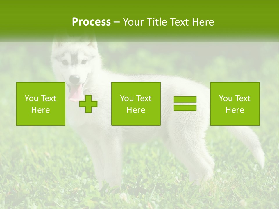 A White Dog Standing On Top Of A Lush Green Field PowerPoint Template