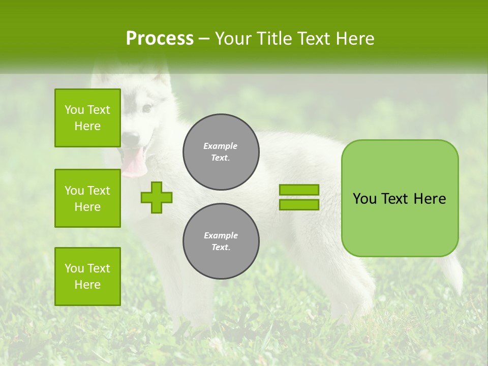 A White Dog Standing On Top Of A Lush Green Field PowerPoint Template