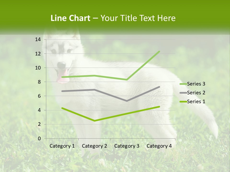 A White Dog Standing On Top Of A Lush Green Field PowerPoint Template