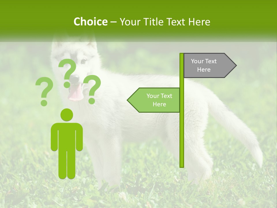 A White Dog Standing On Top Of A Lush Green Field PowerPoint Template