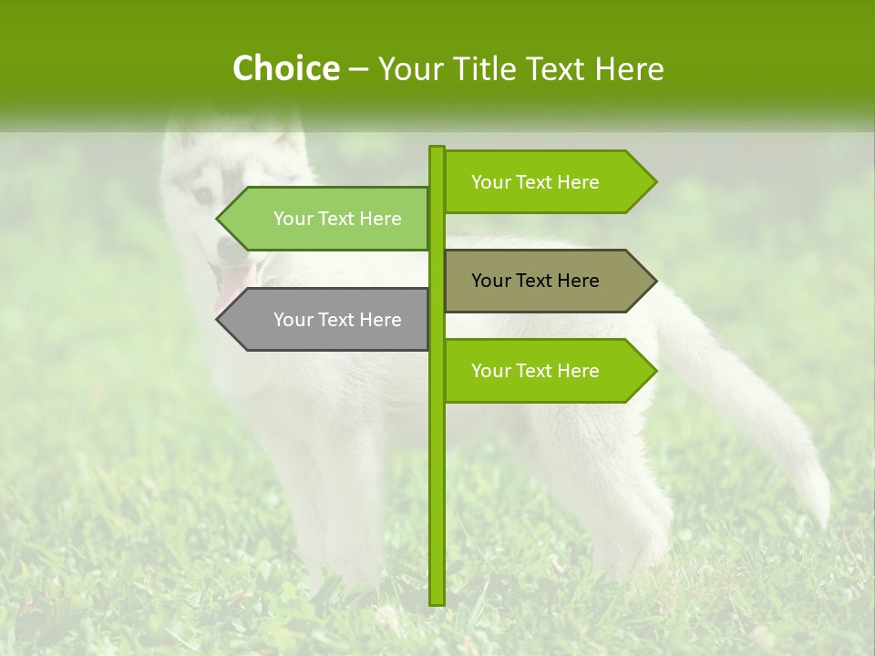 A White Dog Standing On Top Of A Lush Green Field PowerPoint Template
