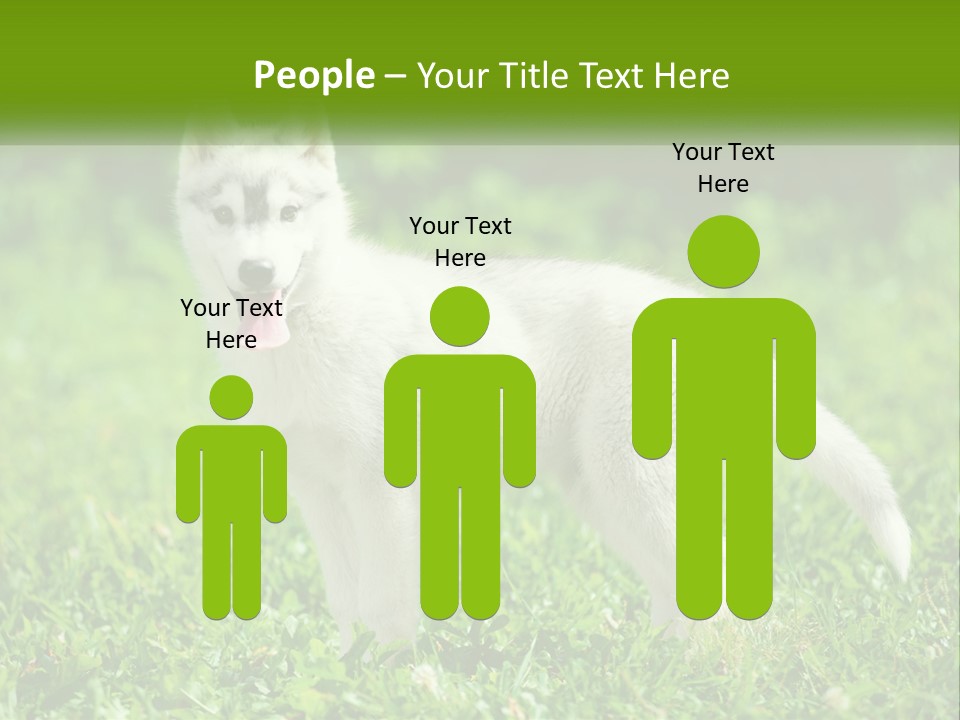 A White Dog Standing On Top Of A Lush Green Field PowerPoint Template