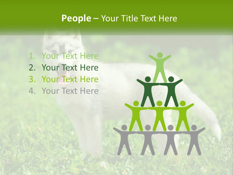 A White Dog Standing On Top Of A Lush Green Field PowerPoint Template