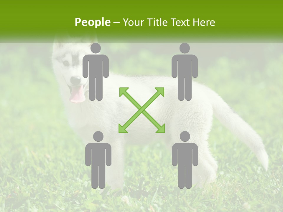 A White Dog Standing On Top Of A Lush Green Field PowerPoint Template
