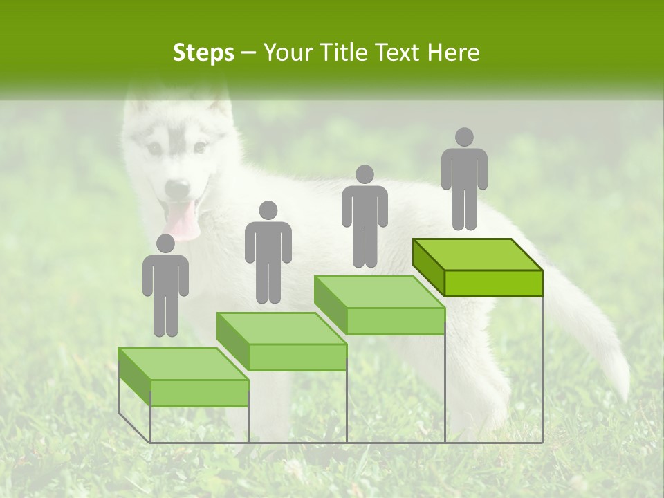 A White Dog Standing On Top Of A Lush Green Field PowerPoint Template