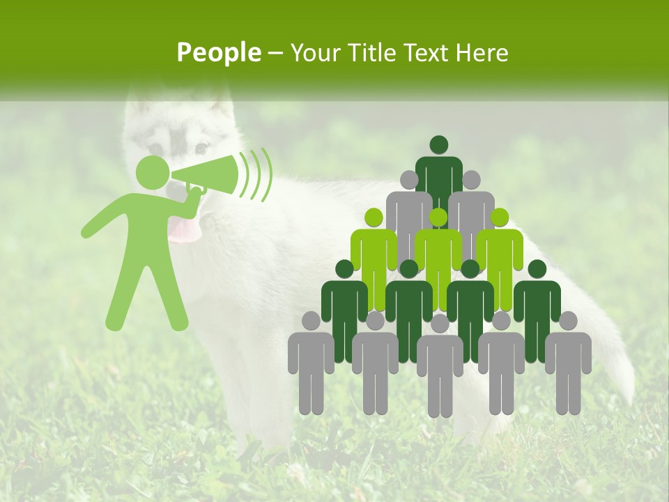 A White Dog Standing On Top Of A Lush Green Field PowerPoint Template