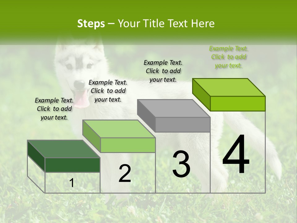 A White Dog Standing On Top Of A Lush Green Field PowerPoint Template