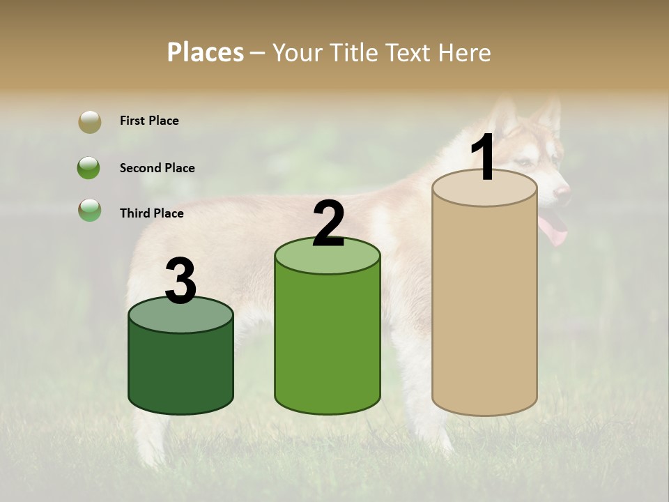 A Brown And White Dog Standing On Top Of A Lush Green Field PowerPoint Template