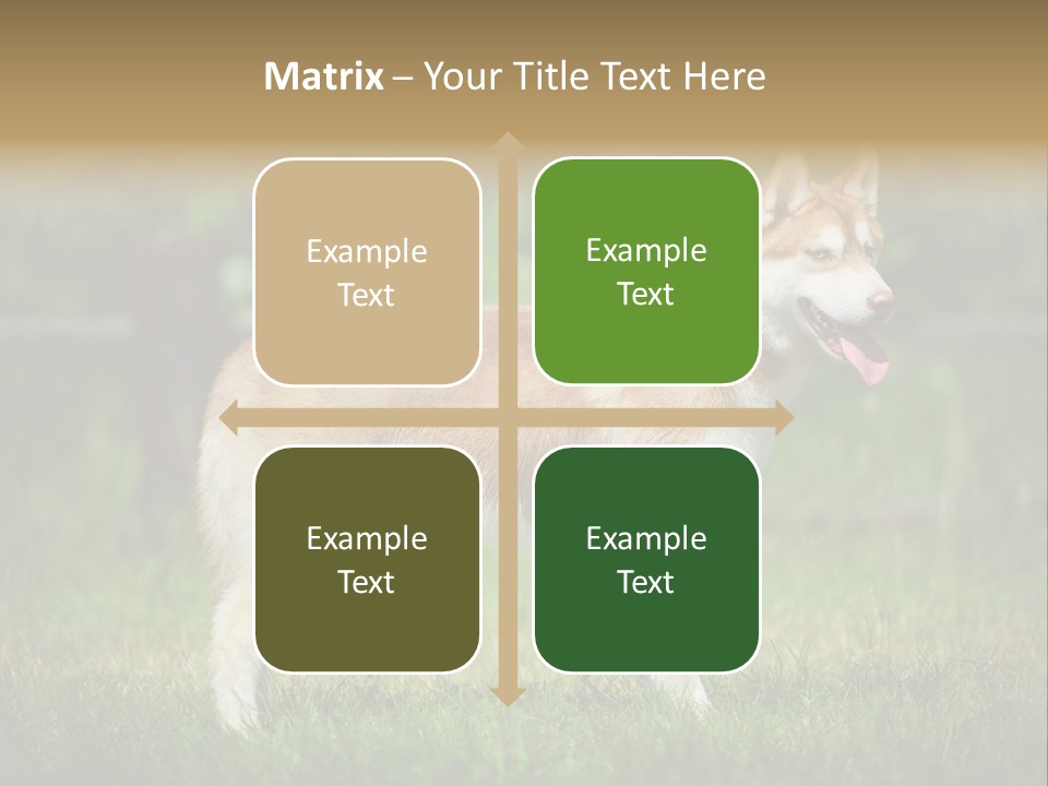 A Brown And White Dog Standing On Top Of A Lush Green Field PowerPoint Template