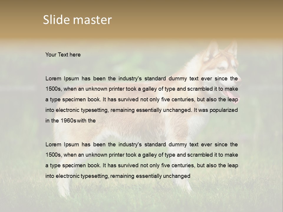 A Brown And White Dog Standing On Top Of A Lush Green Field PowerPoint Template