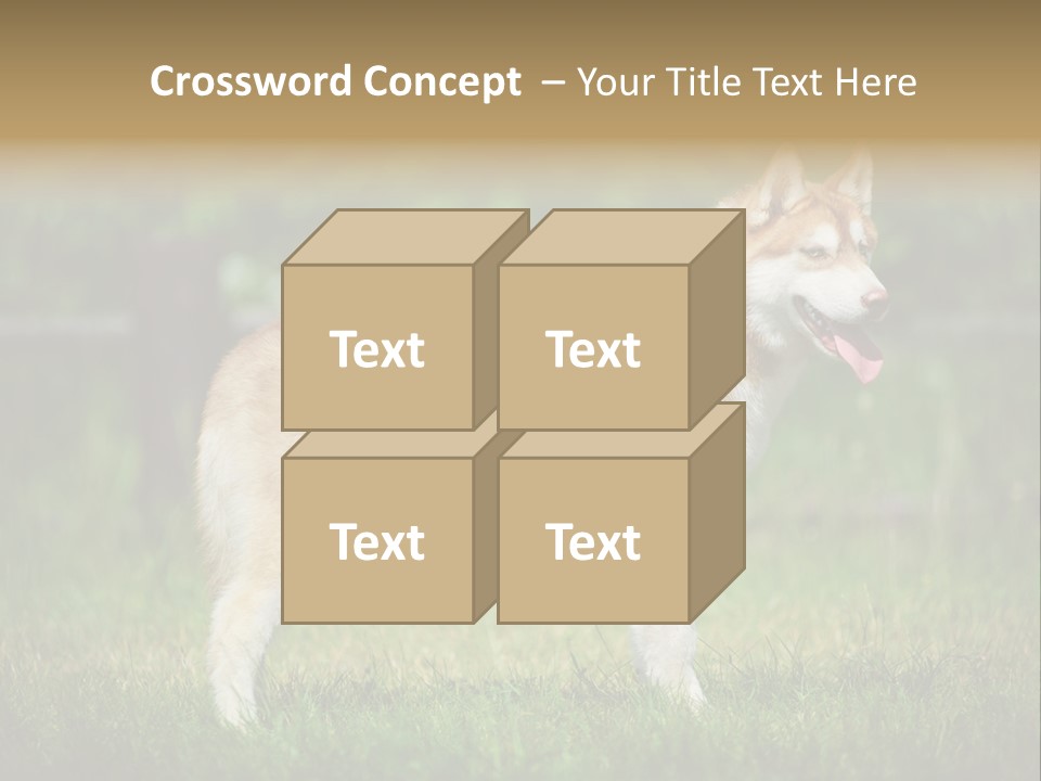 A Brown And White Dog Standing On Top Of A Lush Green Field PowerPoint Template