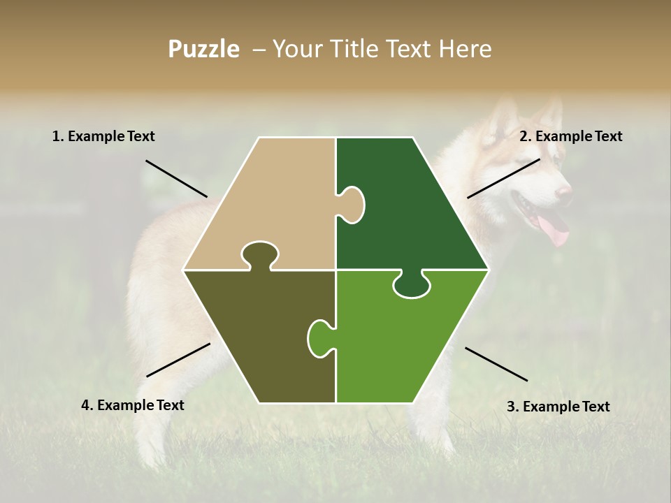 A Brown And White Dog Standing On Top Of A Lush Green Field PowerPoint Template