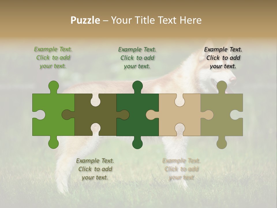 A Brown And White Dog Standing On Top Of A Lush Green Field PowerPoint Template