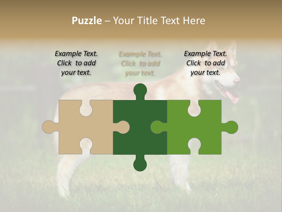 A Brown And White Dog Standing On Top Of A Lush Green Field PowerPoint Template