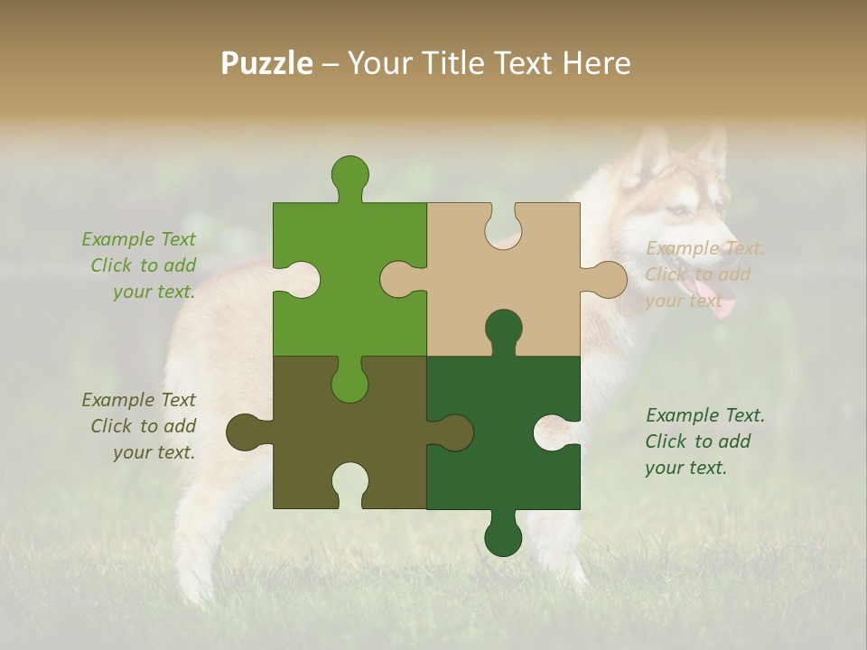 A Brown And White Dog Standing On Top Of A Lush Green Field PowerPoint Template
