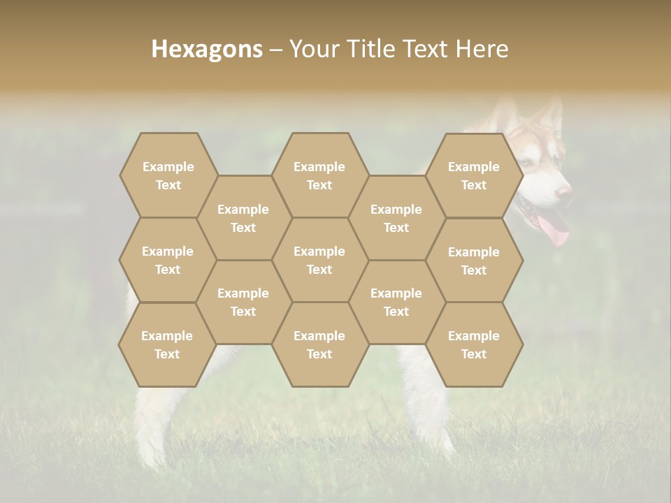 A Brown And White Dog Standing On Top Of A Lush Green Field PowerPoint Template