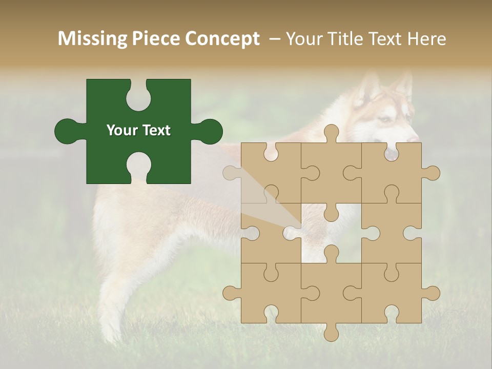 A Brown And White Dog Standing On Top Of A Lush Green Field PowerPoint Template