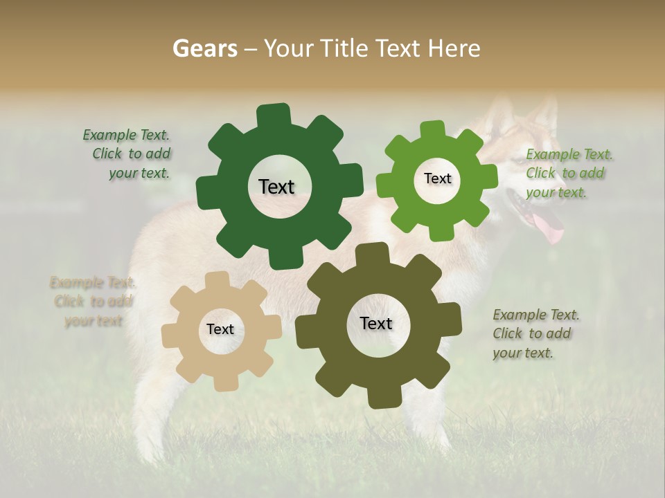 A Brown And White Dog Standing On Top Of A Lush Green Field PowerPoint Template