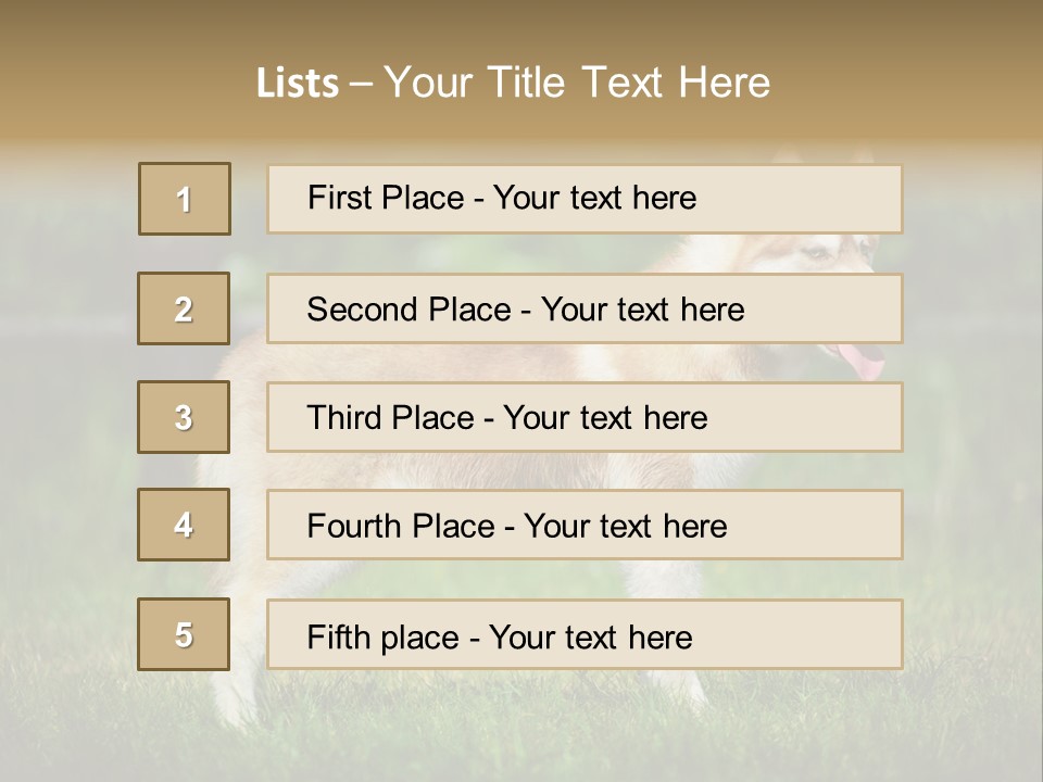A Brown And White Dog Standing On Top Of A Lush Green Field PowerPoint Template