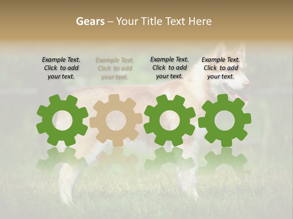 A Brown And White Dog Standing On Top Of A Lush Green Field PowerPoint Template