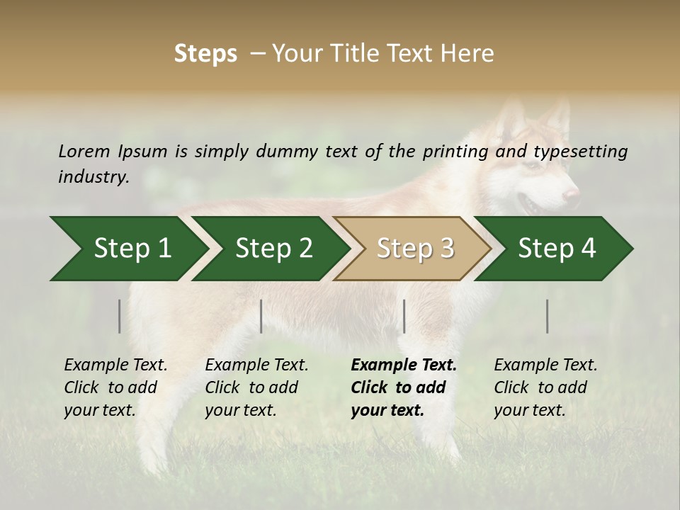 A Brown And White Dog Standing On Top Of A Lush Green Field PowerPoint Template