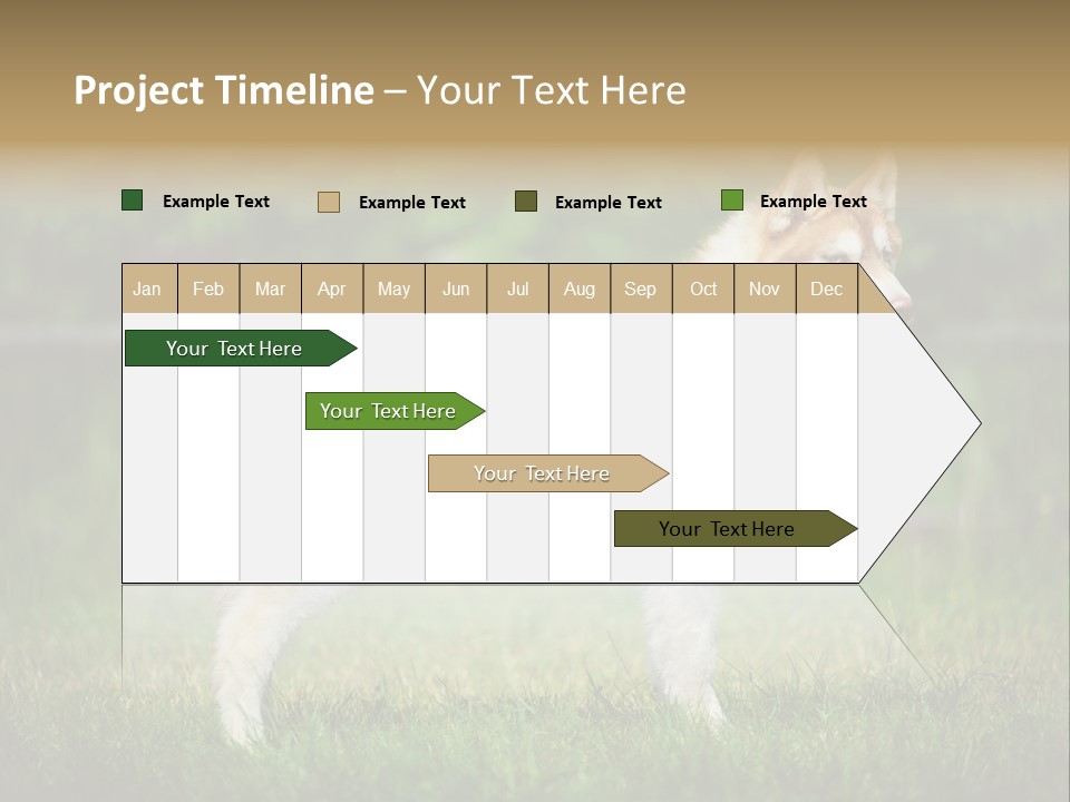 A Brown And White Dog Standing On Top Of A Lush Green Field PowerPoint Template