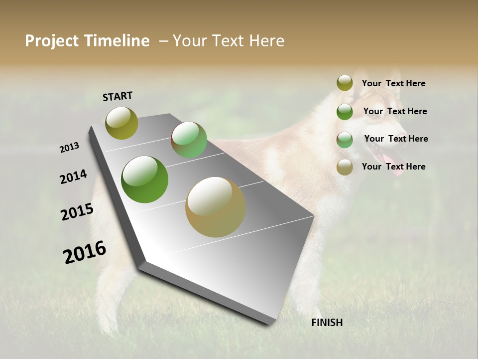 A Brown And White Dog Standing On Top Of A Lush Green Field PowerPoint Template