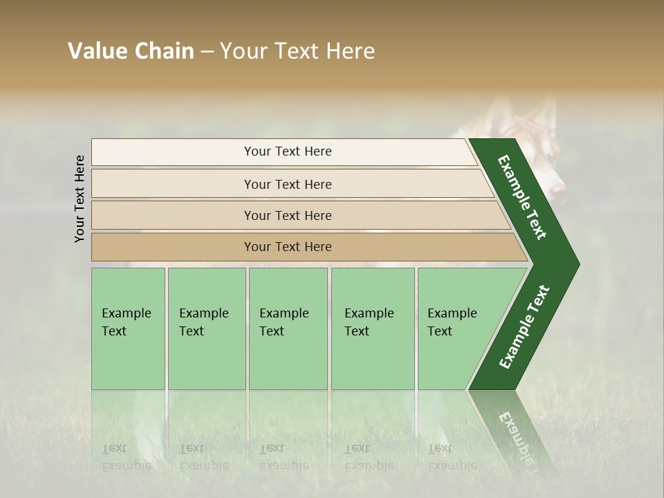 A Brown And White Dog Standing On Top Of A Lush Green Field PowerPoint Template