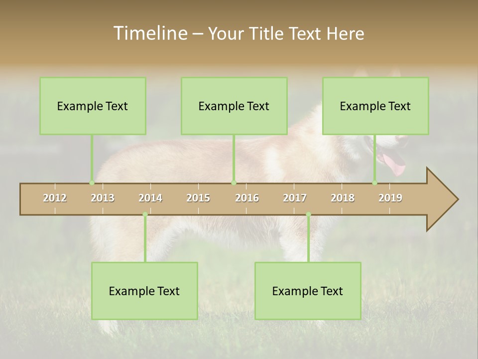 A Brown And White Dog Standing On Top Of A Lush Green Field PowerPoint Template