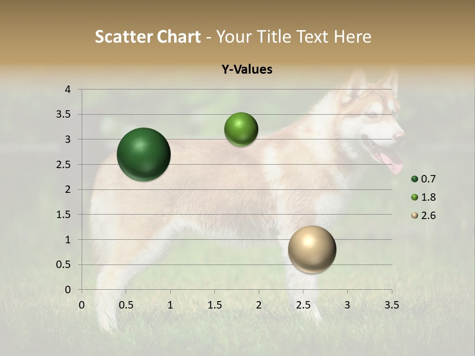 A Brown And White Dog Standing On Top Of A Lush Green Field PowerPoint Template