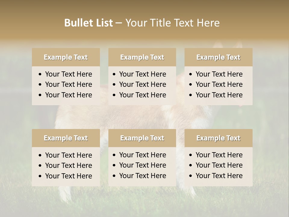 A Brown And White Dog Standing On Top Of A Lush Green Field PowerPoint Template