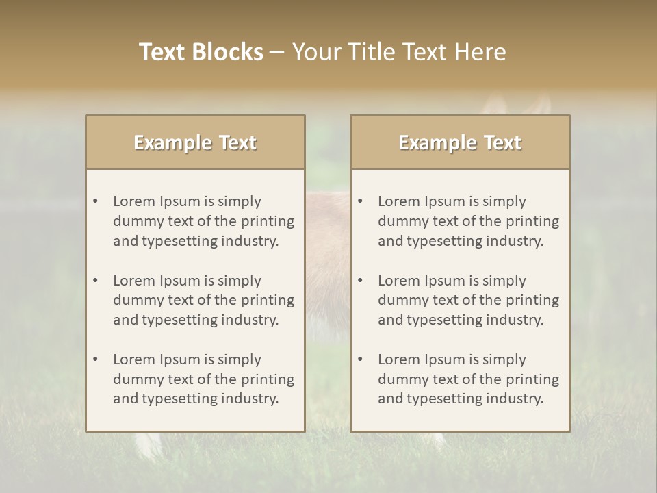 A Brown And White Dog Standing On Top Of A Lush Green Field PowerPoint Template