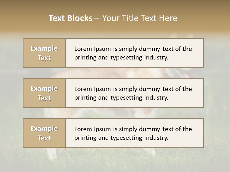 A Brown And White Dog Standing On Top Of A Lush Green Field PowerPoint Template