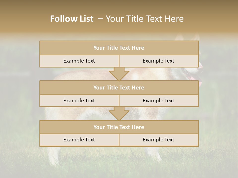 A Brown And White Dog Standing On Top Of A Lush Green Field PowerPoint Template