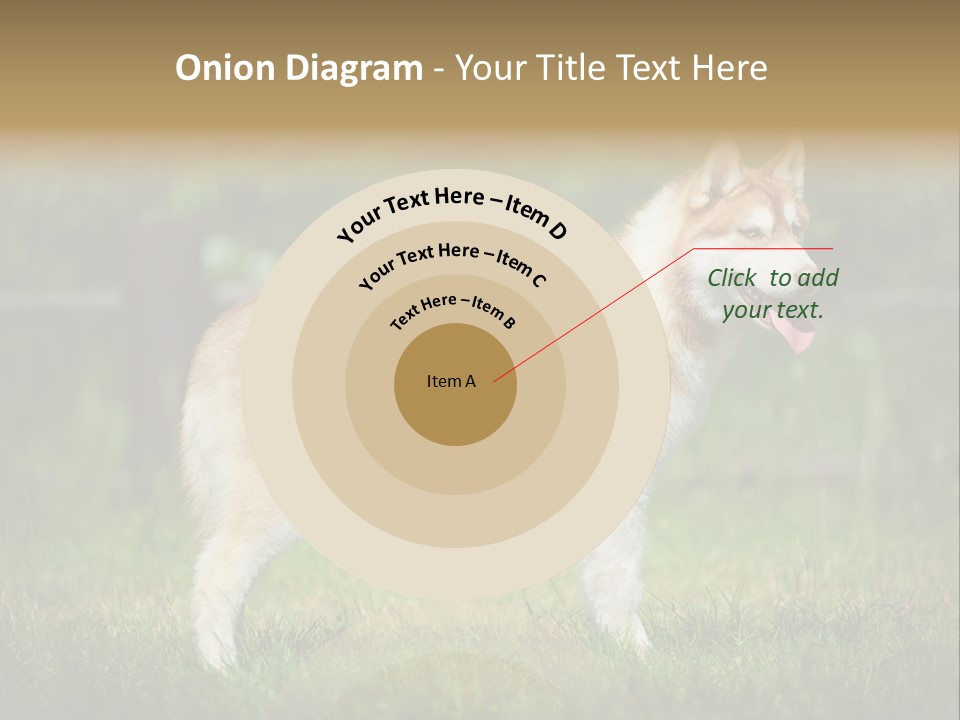 A Brown And White Dog Standing On Top Of A Lush Green Field PowerPoint Template