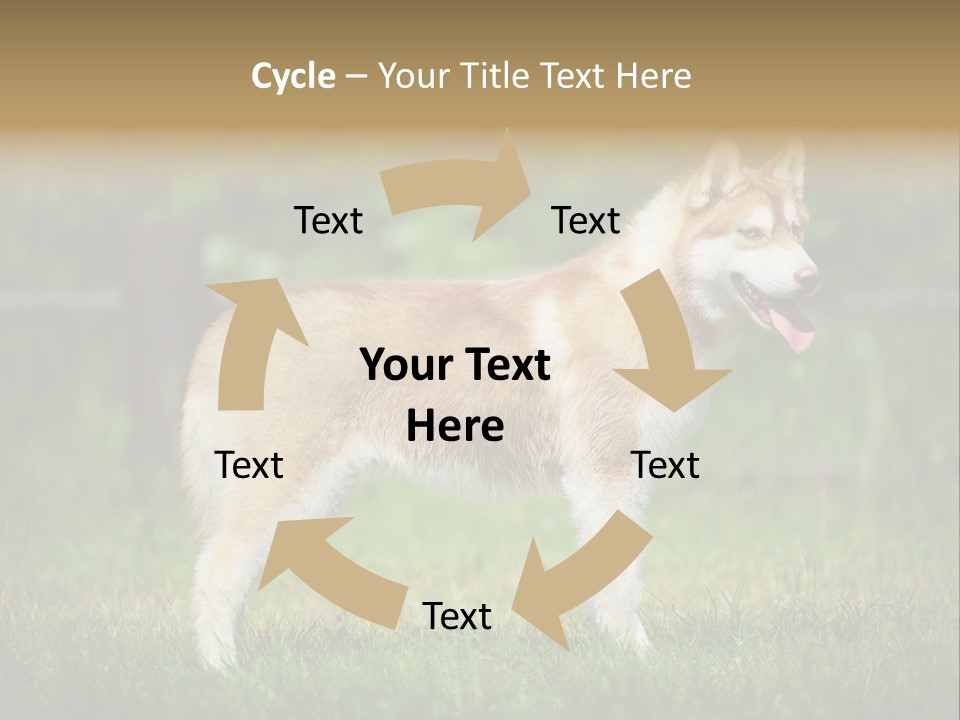 A Brown And White Dog Standing On Top Of A Lush Green Field PowerPoint Template
