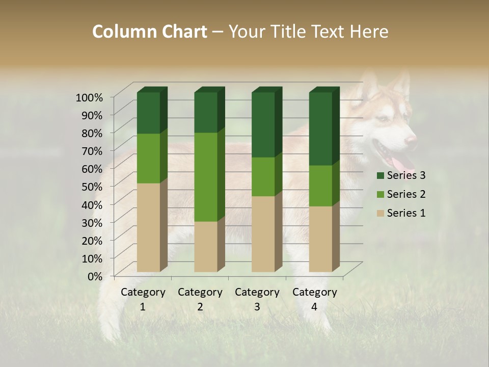 A Brown And White Dog Standing On Top Of A Lush Green Field PowerPoint Template