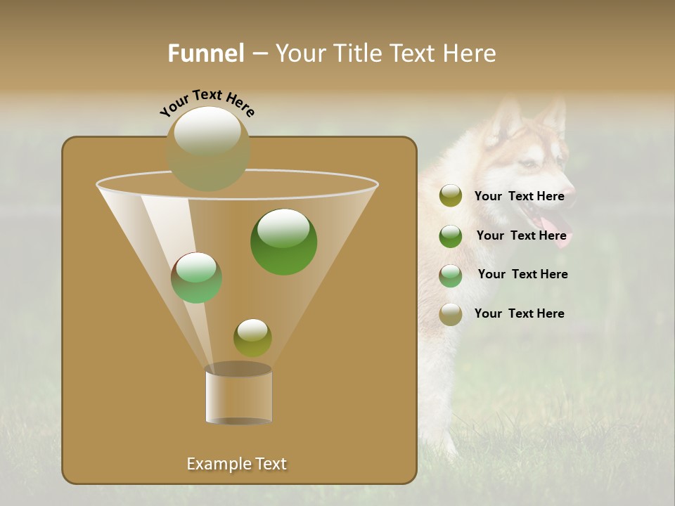 A Brown And White Dog Standing On Top Of A Lush Green Field PowerPoint Template