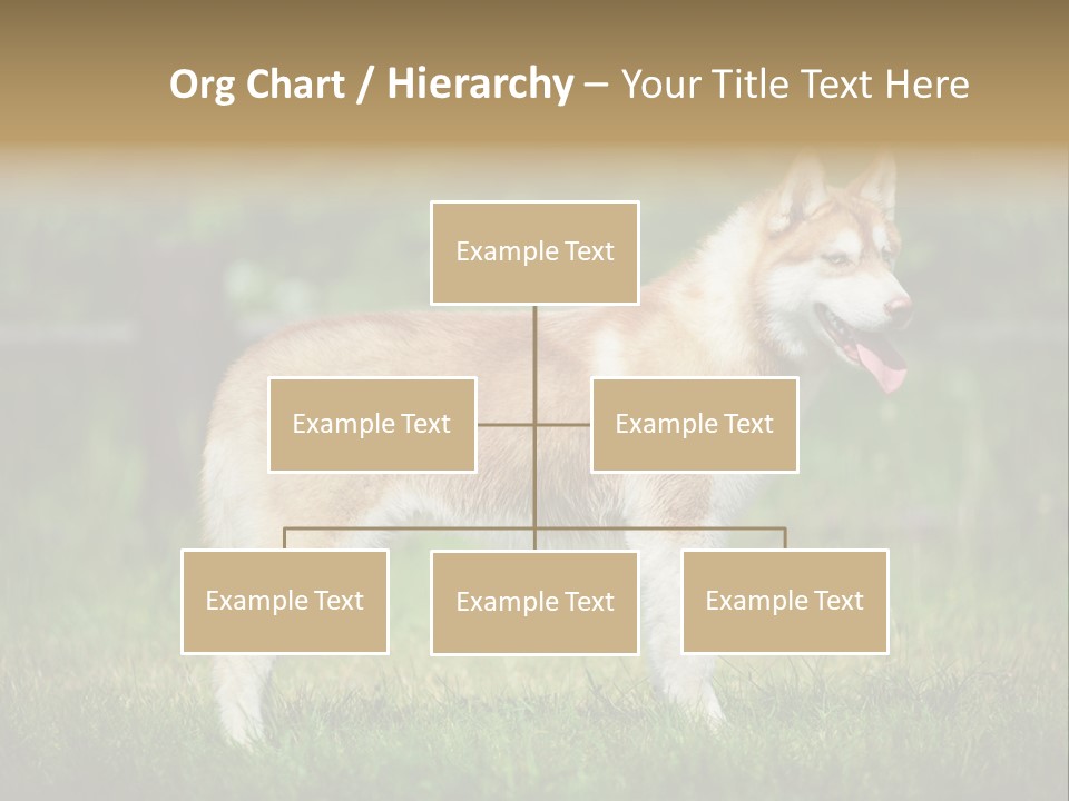 A Brown And White Dog Standing On Top Of A Lush Green Field PowerPoint Template
