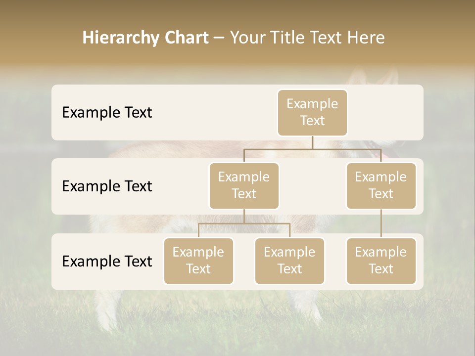 A Brown And White Dog Standing On Top Of A Lush Green Field PowerPoint Template