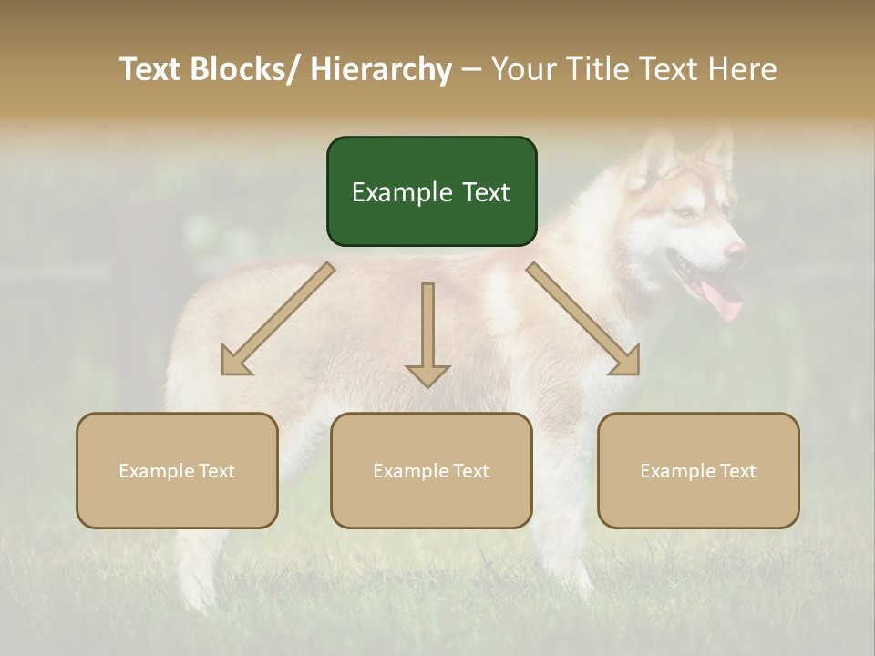 A Brown And White Dog Standing On Top Of A Lush Green Field PowerPoint Template