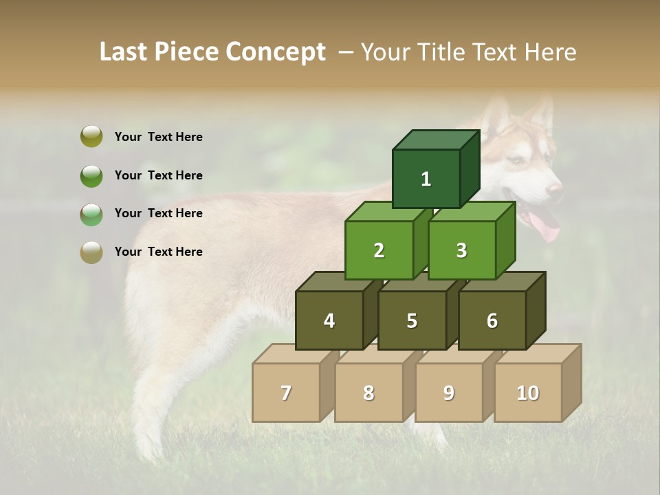 A Brown And White Dog Standing On Top Of A Lush Green Field PowerPoint Template