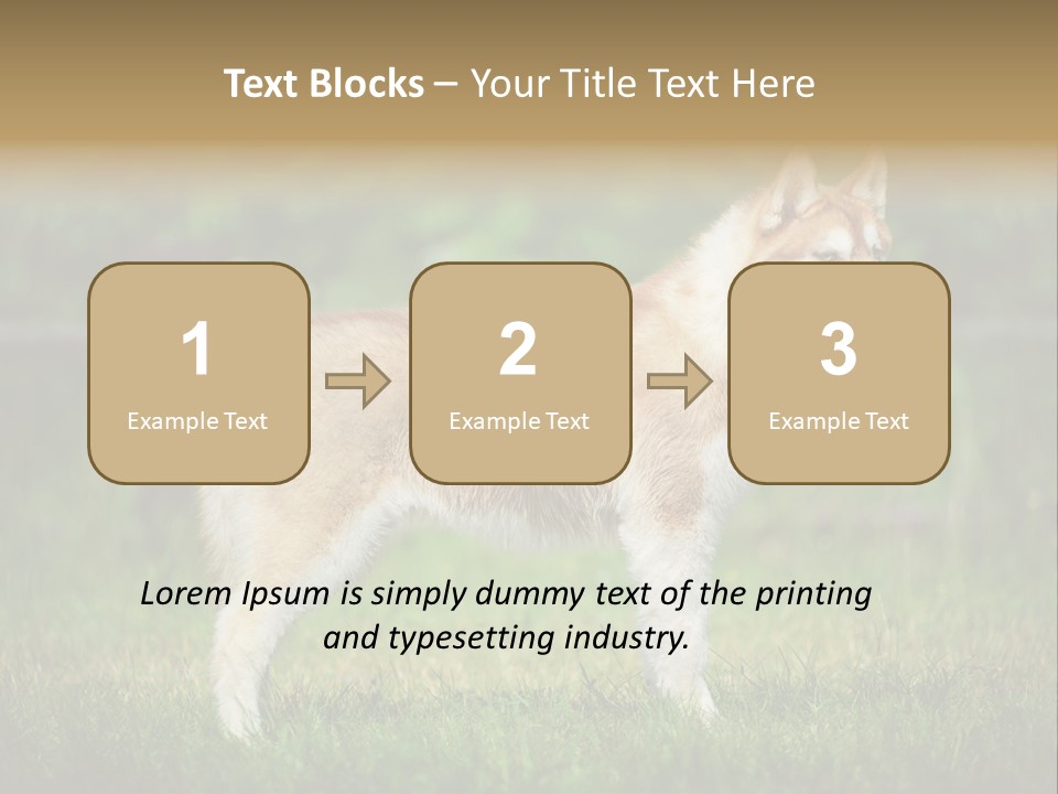 A Brown And White Dog Standing On Top Of A Lush Green Field PowerPoint Template