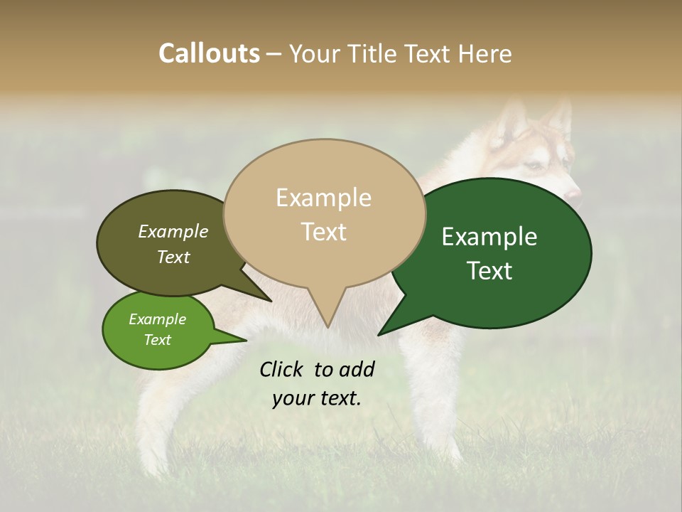 A Brown And White Dog Standing On Top Of A Lush Green Field PowerPoint Template