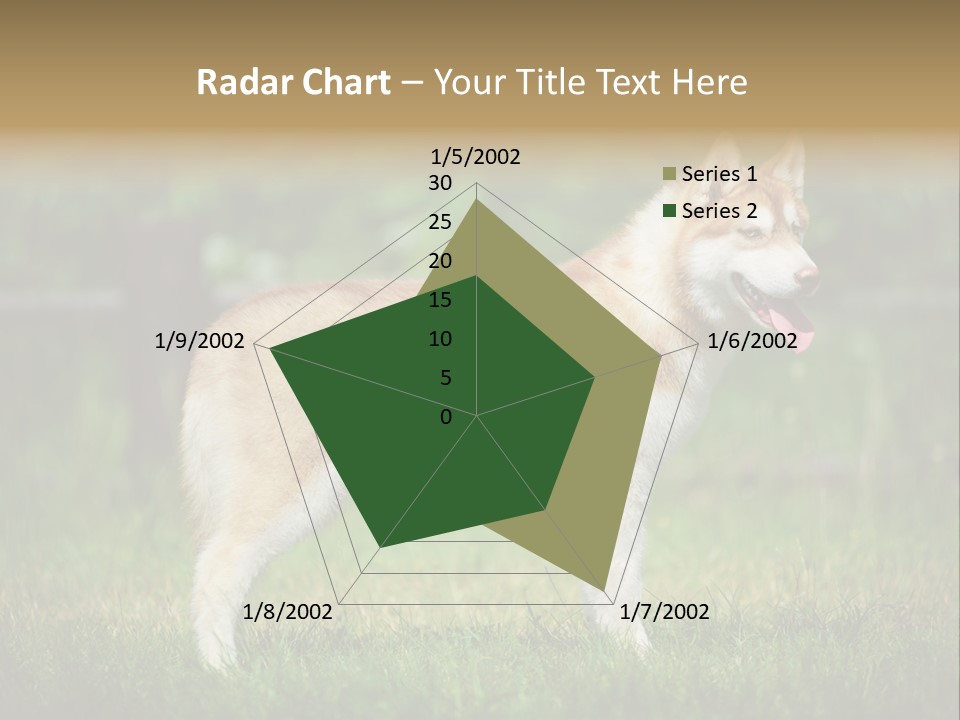 A Brown And White Dog Standing On Top Of A Lush Green Field PowerPoint Template
