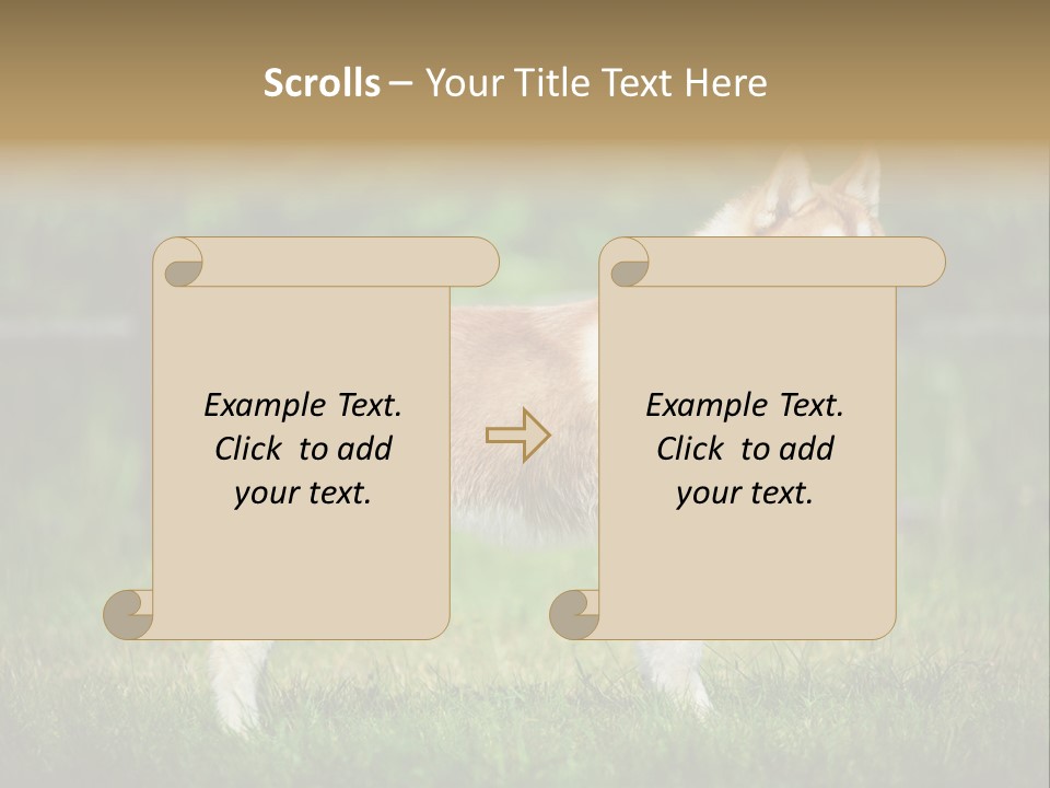 A Brown And White Dog Standing On Top Of A Lush Green Field PowerPoint Template
