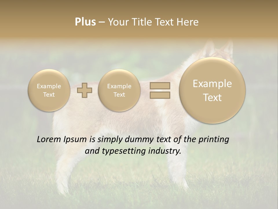A Brown And White Dog Standing On Top Of A Lush Green Field PowerPoint Template