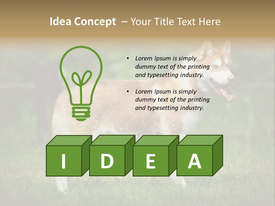 A Brown And White Dog Standing On Top Of A Lush Green Field PowerPoint Template