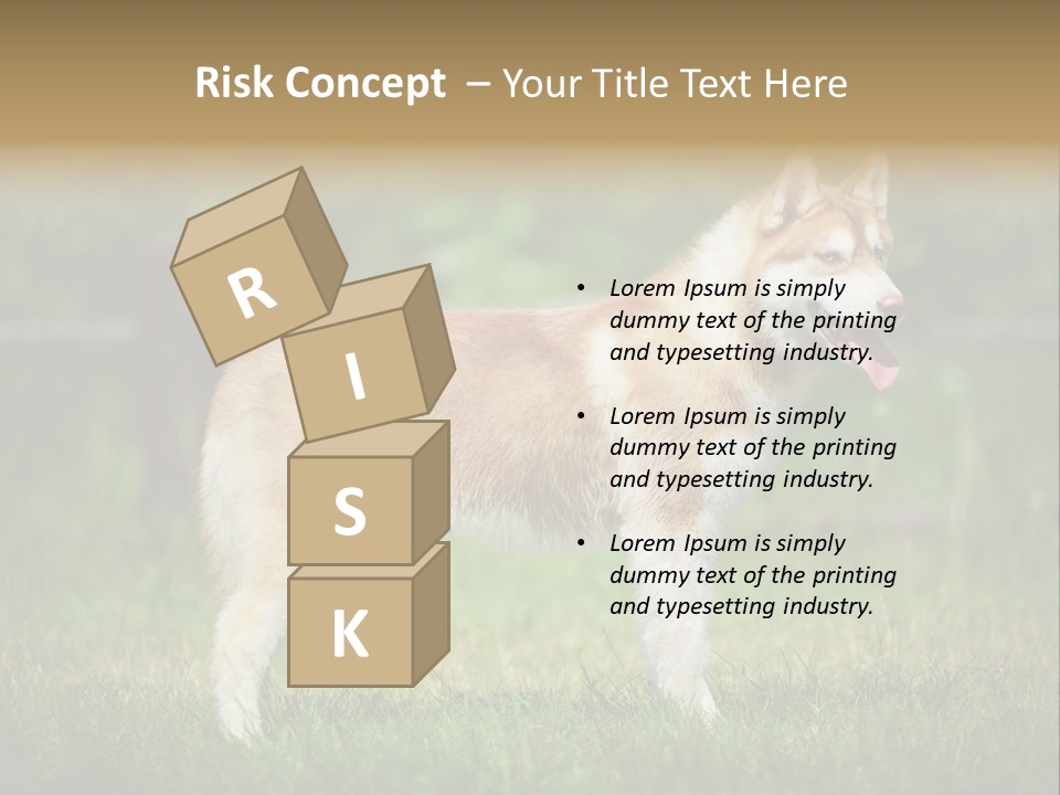 A Brown And White Dog Standing On Top Of A Lush Green Field PowerPoint Template